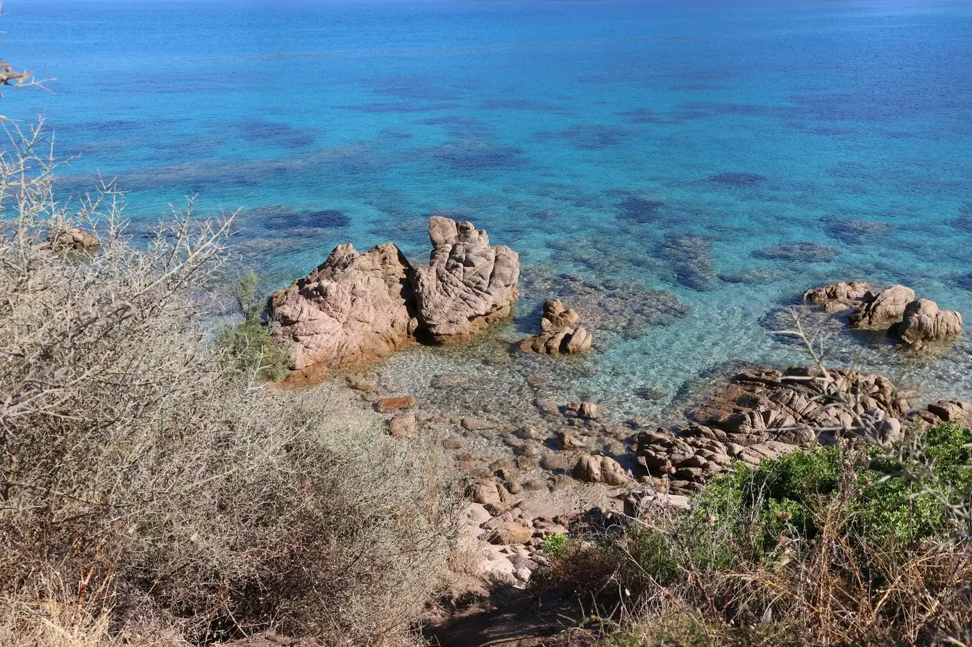 Crystal clear blue ocean with rocky shore and brush in the foreground.