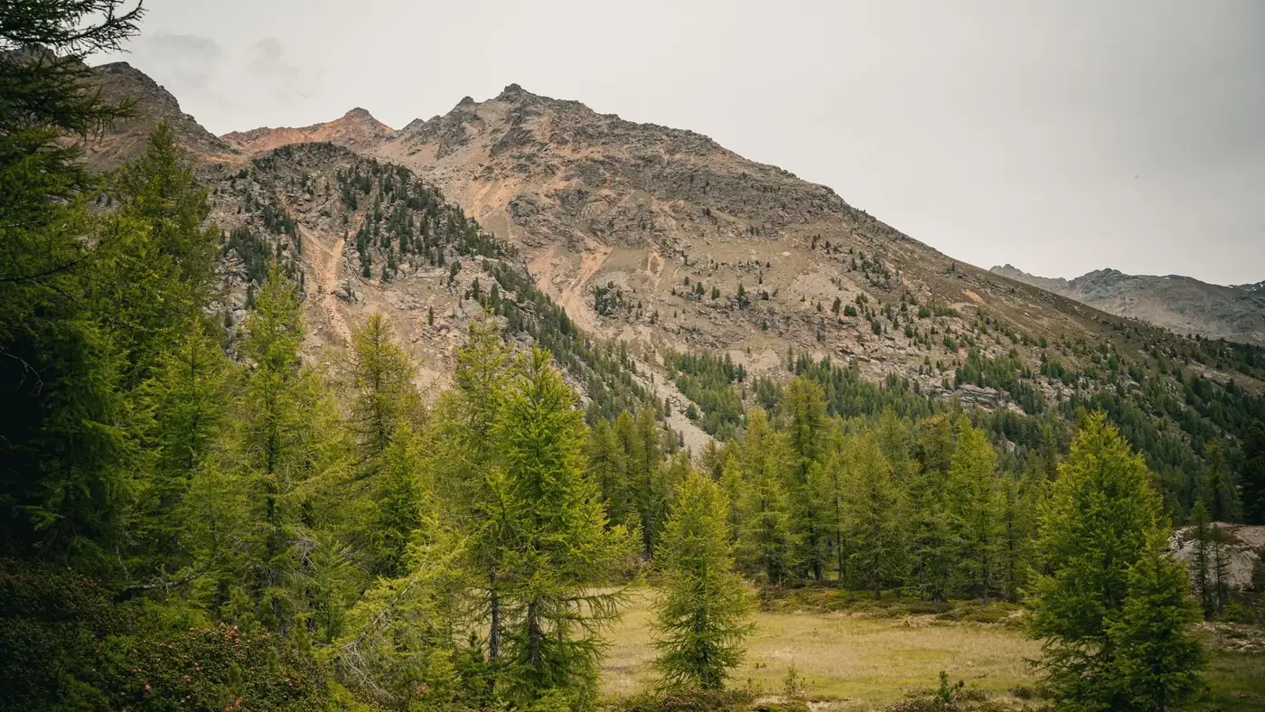 Beautiful alpine landscape in Ulten, Trentino-Südtirol, showcasing lush coniferous trees and rugged mountain terrain.