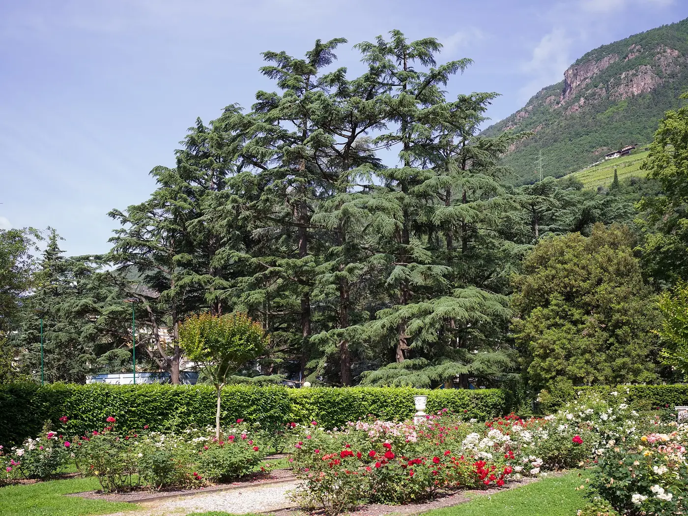 Bozen