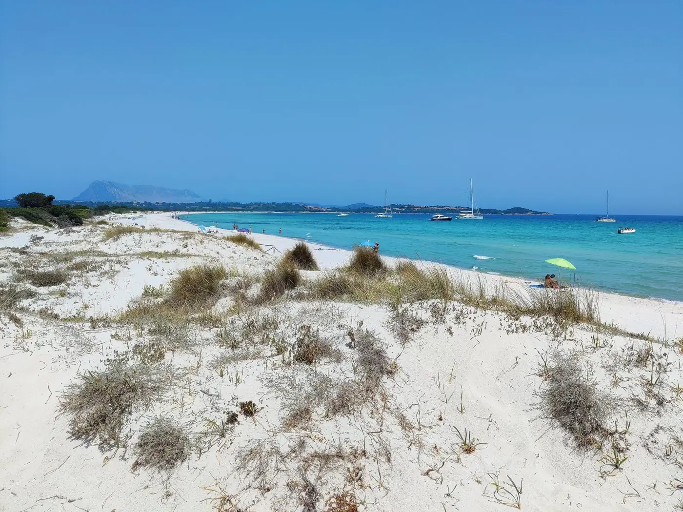 Beautiful beach scene with crystal-clear waters and sandy dunes in Sardinia, Italy.