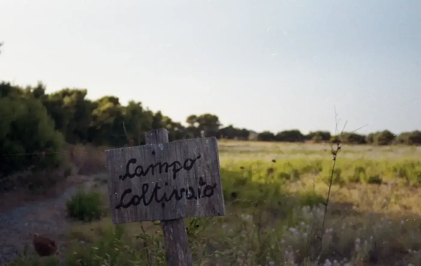 A rustic wooden sign in the Sicilian countryside on a sunny summer day.