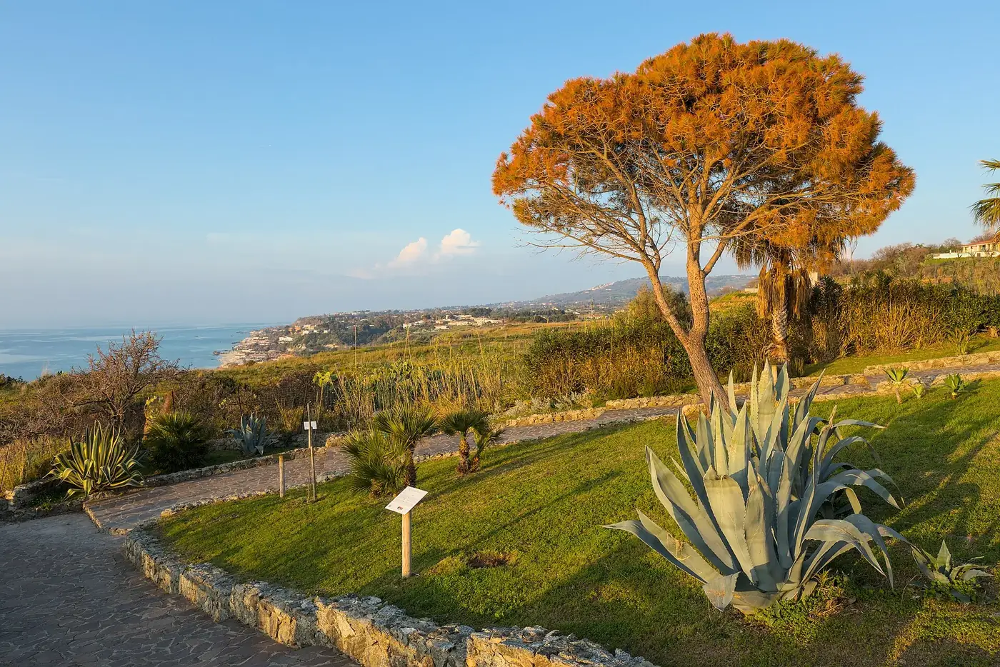 Capo Vaticano