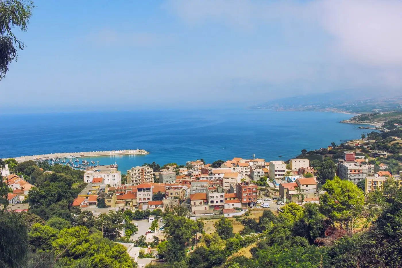 From above scenic view of small town with modern houses located among green trees on sea coast with blue water in sunny 