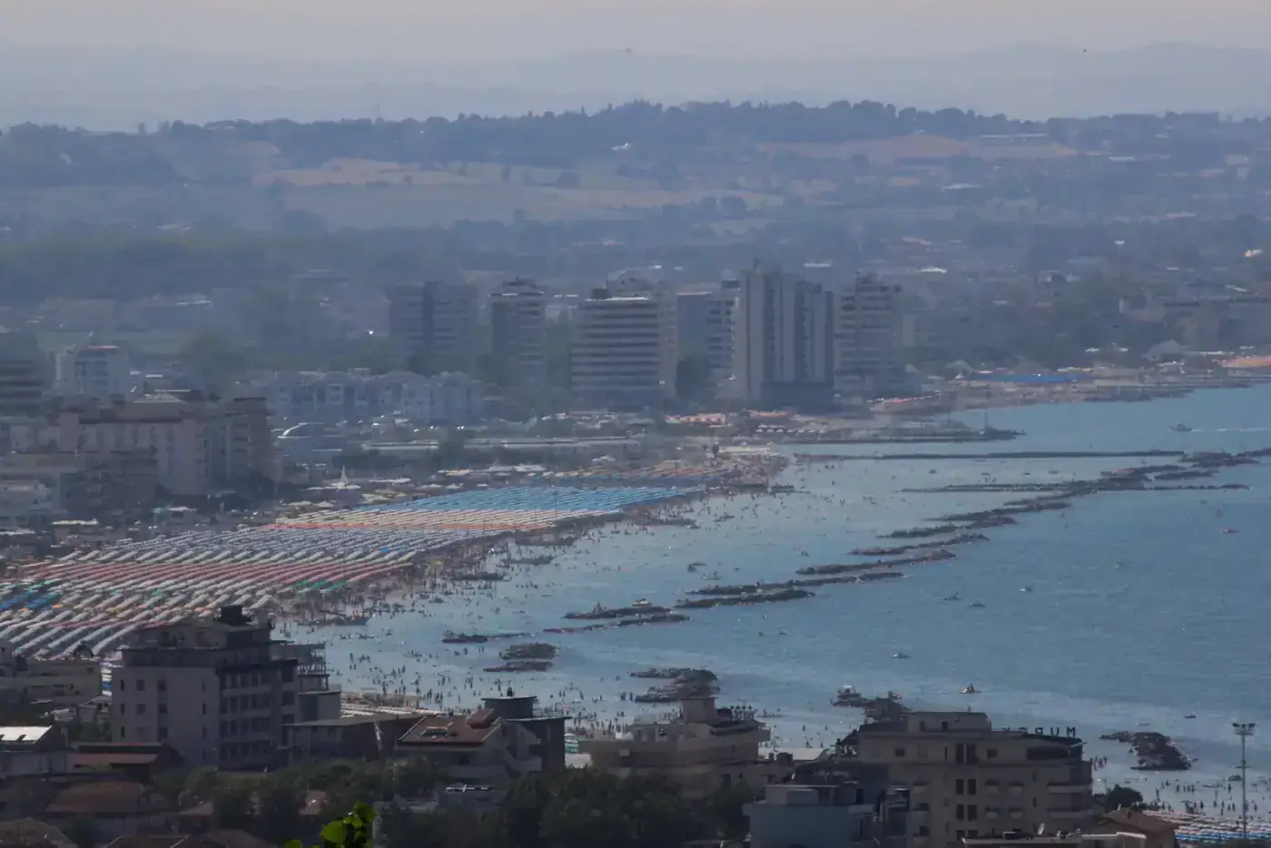 Cattolica