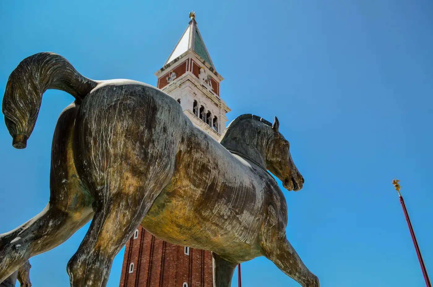View of a bronze horse statue with St Mark's Campanile in Venice, Italy under a clear blue sky.