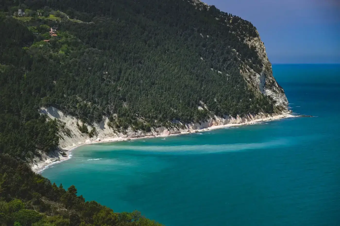 Explore this stunning coastal cliff with lush forest and turquoise ocean view - perfect for nature enthusiasts.