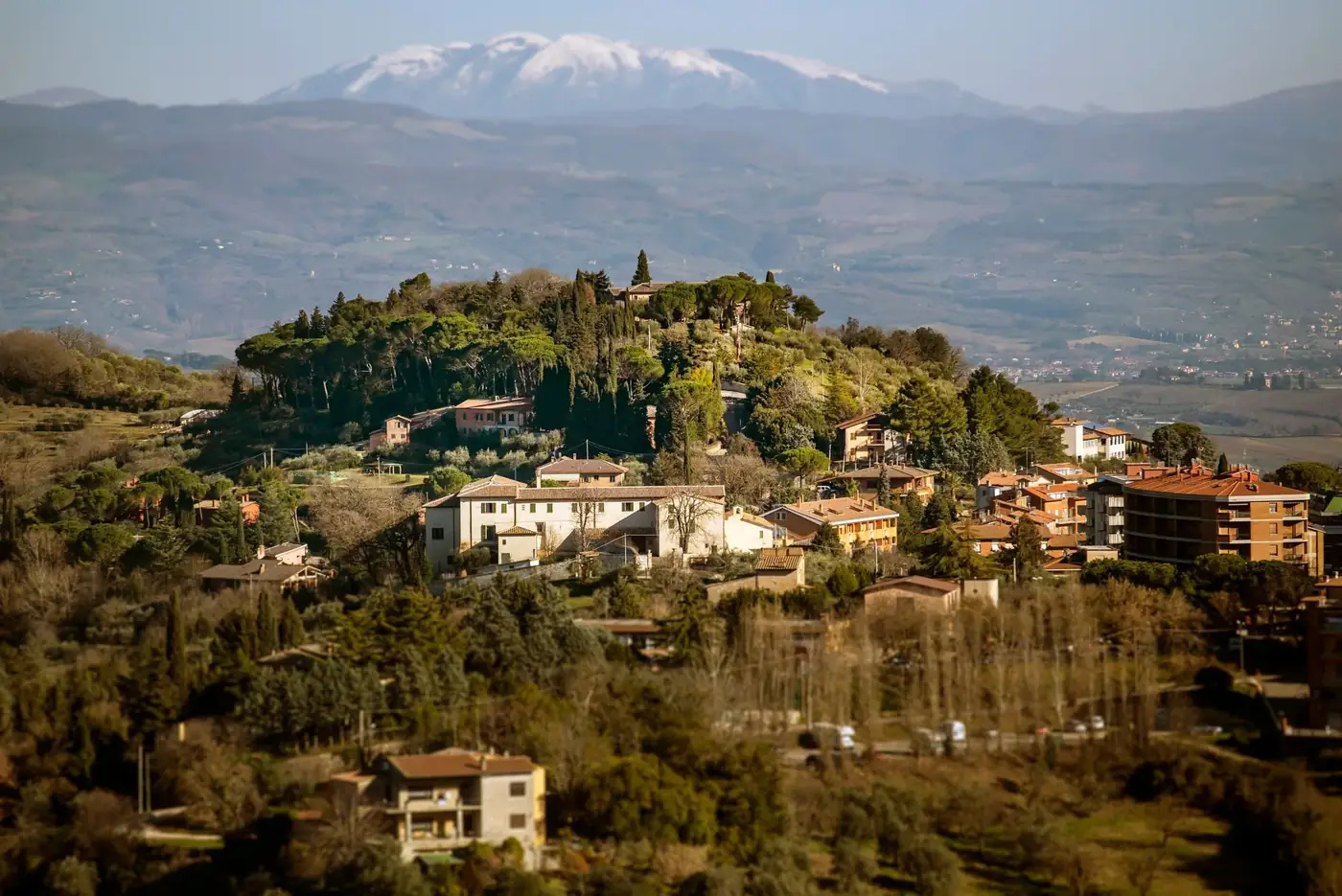 Picturesque scenery of small settlement with typical residential houses located amidst lush green trees on hill slope in