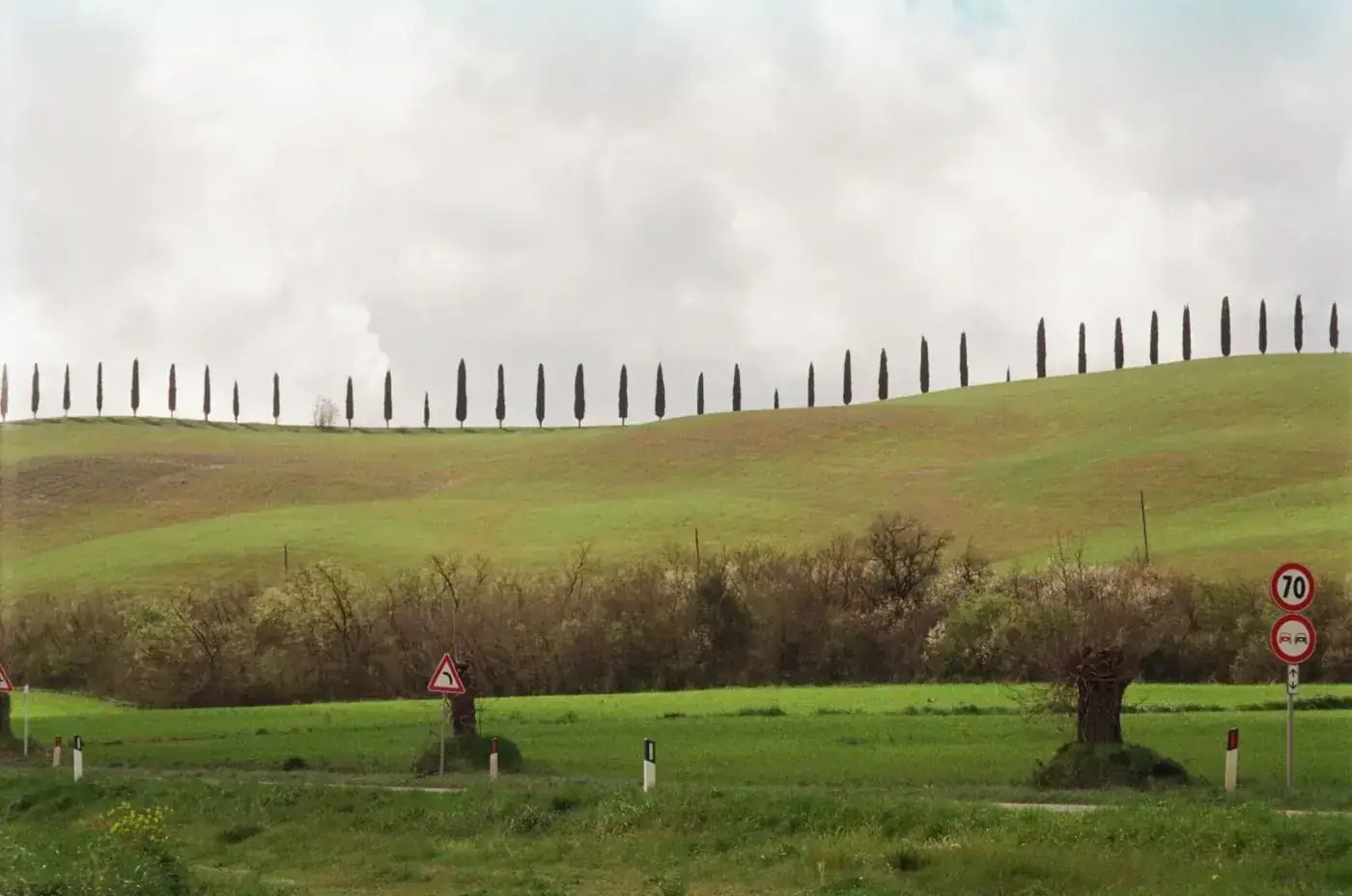 Peaceful image of rolling Tuscan hills lined with cypress trees and road signs.