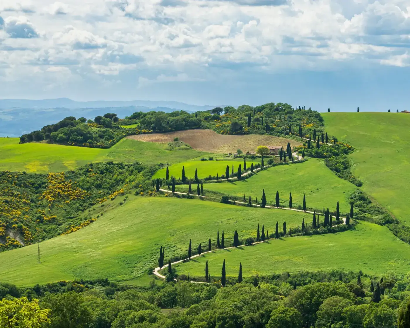 Breathtaking view of Chianciano Terme's rolling hills and cypress trees in Tuscany, Italy.