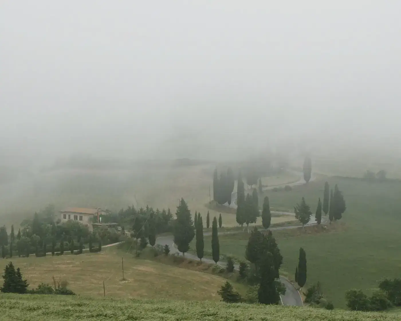 Misty scene of a countryside landscape featuring cypress trees, a winding road, and a farmhouse enveloped in fog.