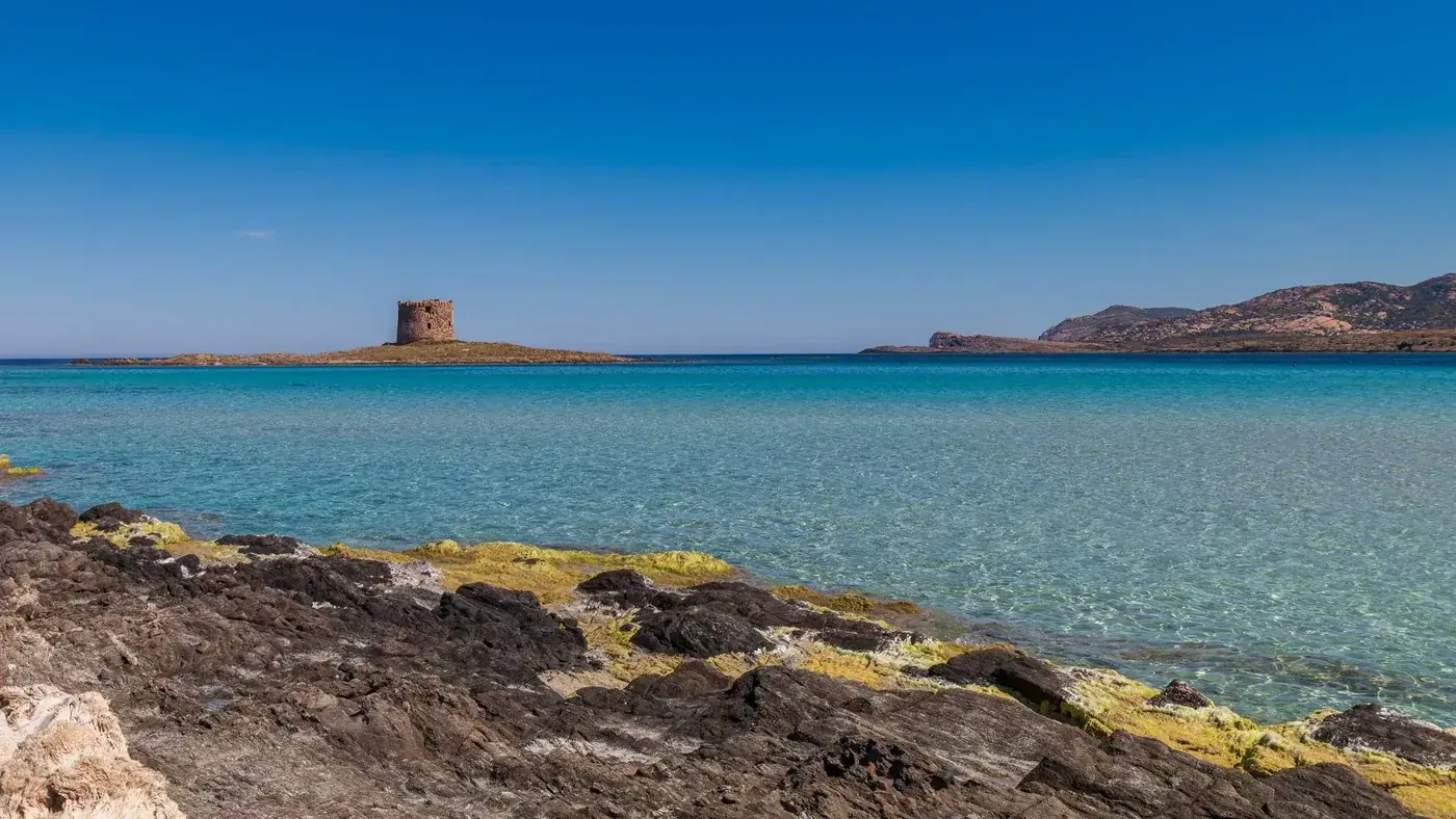 Breathtaking view of La Pelosa beach and historic tower in Sardinia, Italy, under clear blue skies.