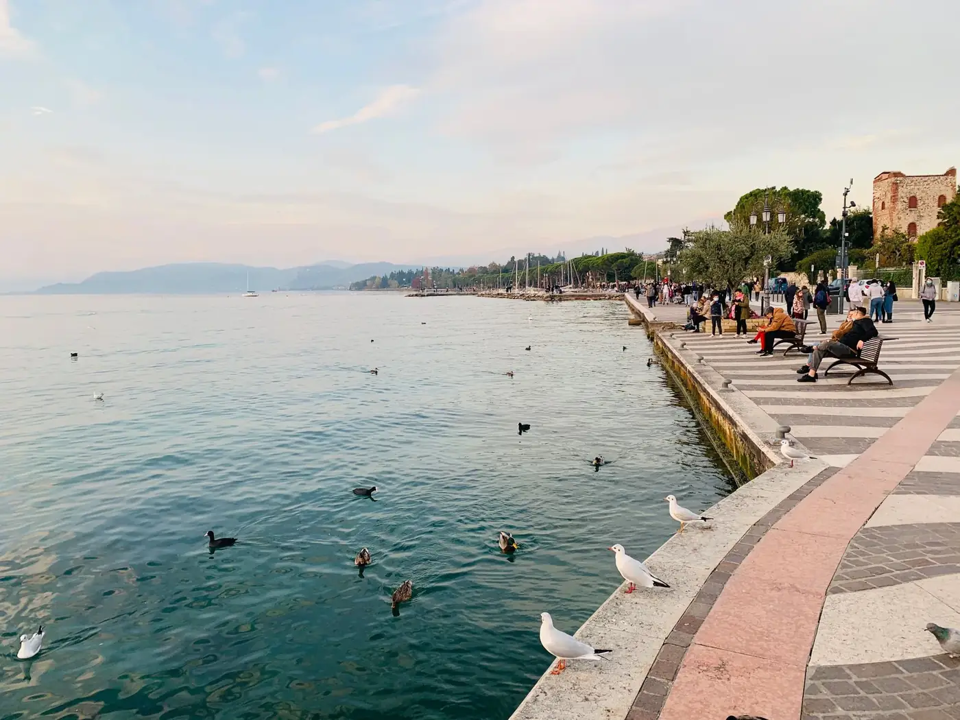 Lazise