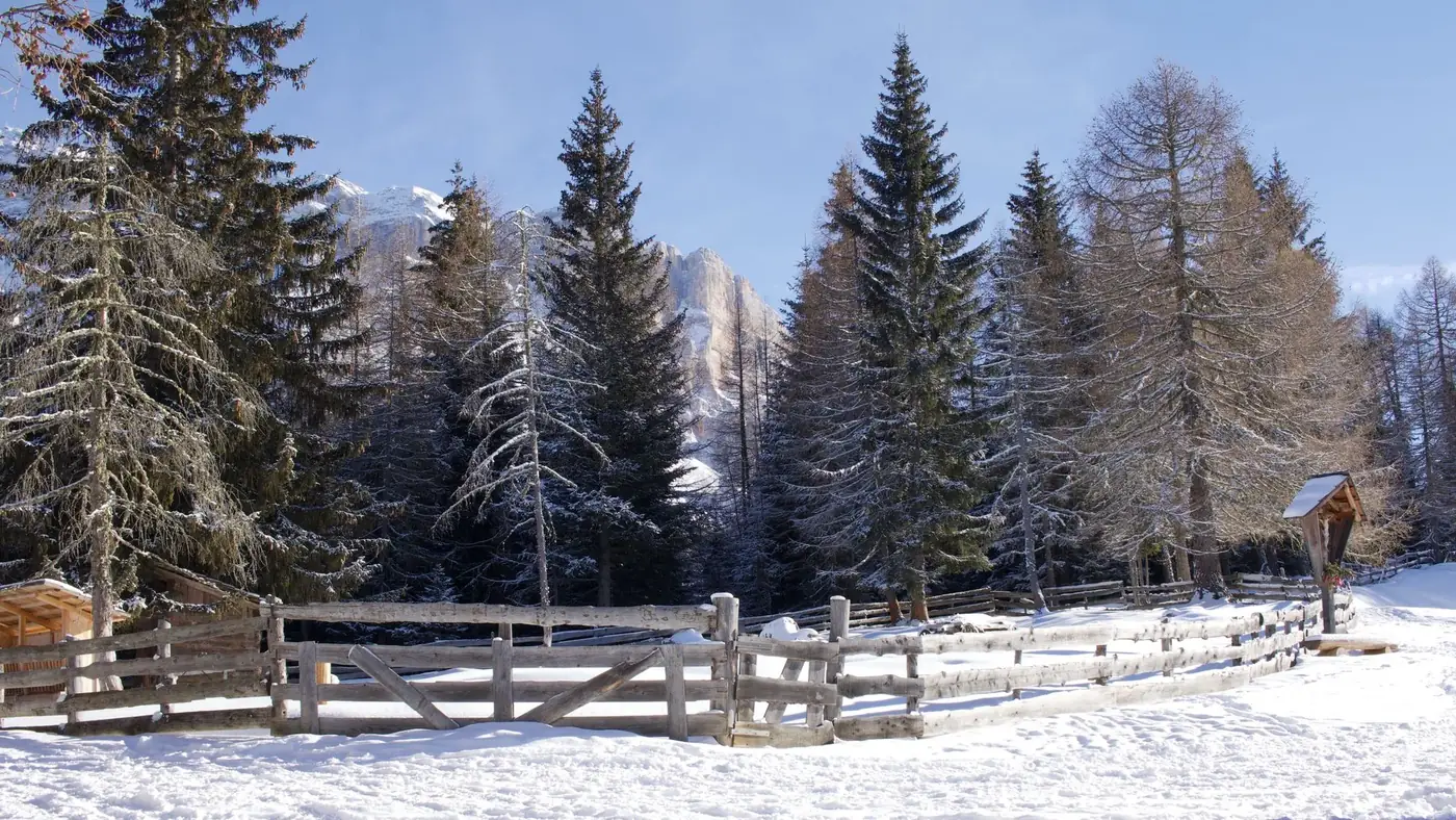 Scenic winter view of snow-covered trees and mountains in La Valle, Trentino-Alto Adige.
