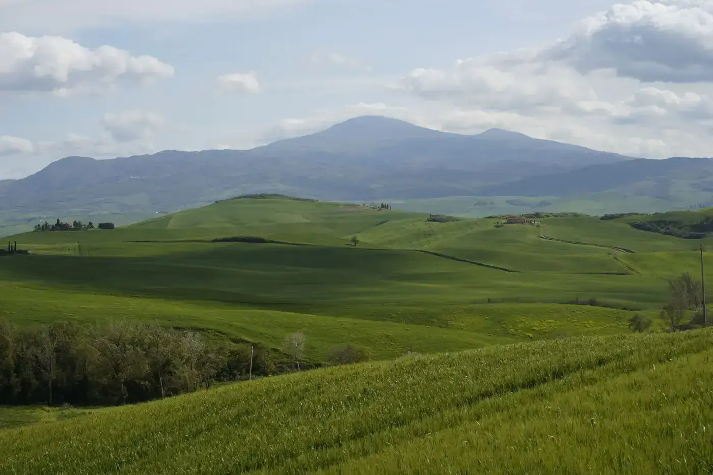 Peaceful view of rolling green hills under blue sky in Tuscany.