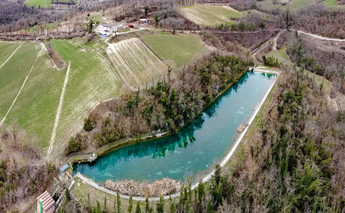 Captivating aerial view of lush fields and serene lake in rural countryside.