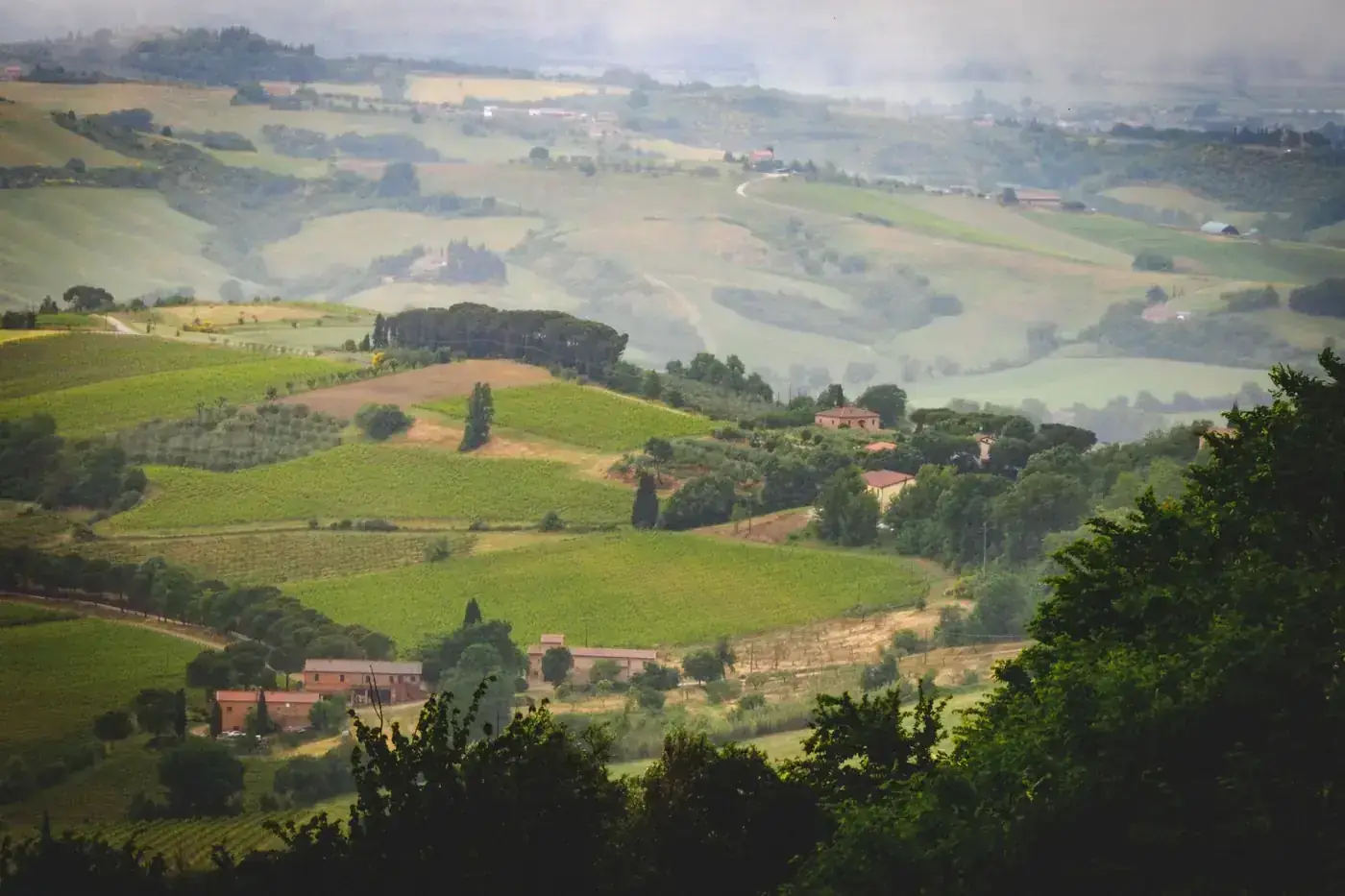 Drone view of scenic landscape with green fields surrounded by trees near small village in foggy weather in summertime i