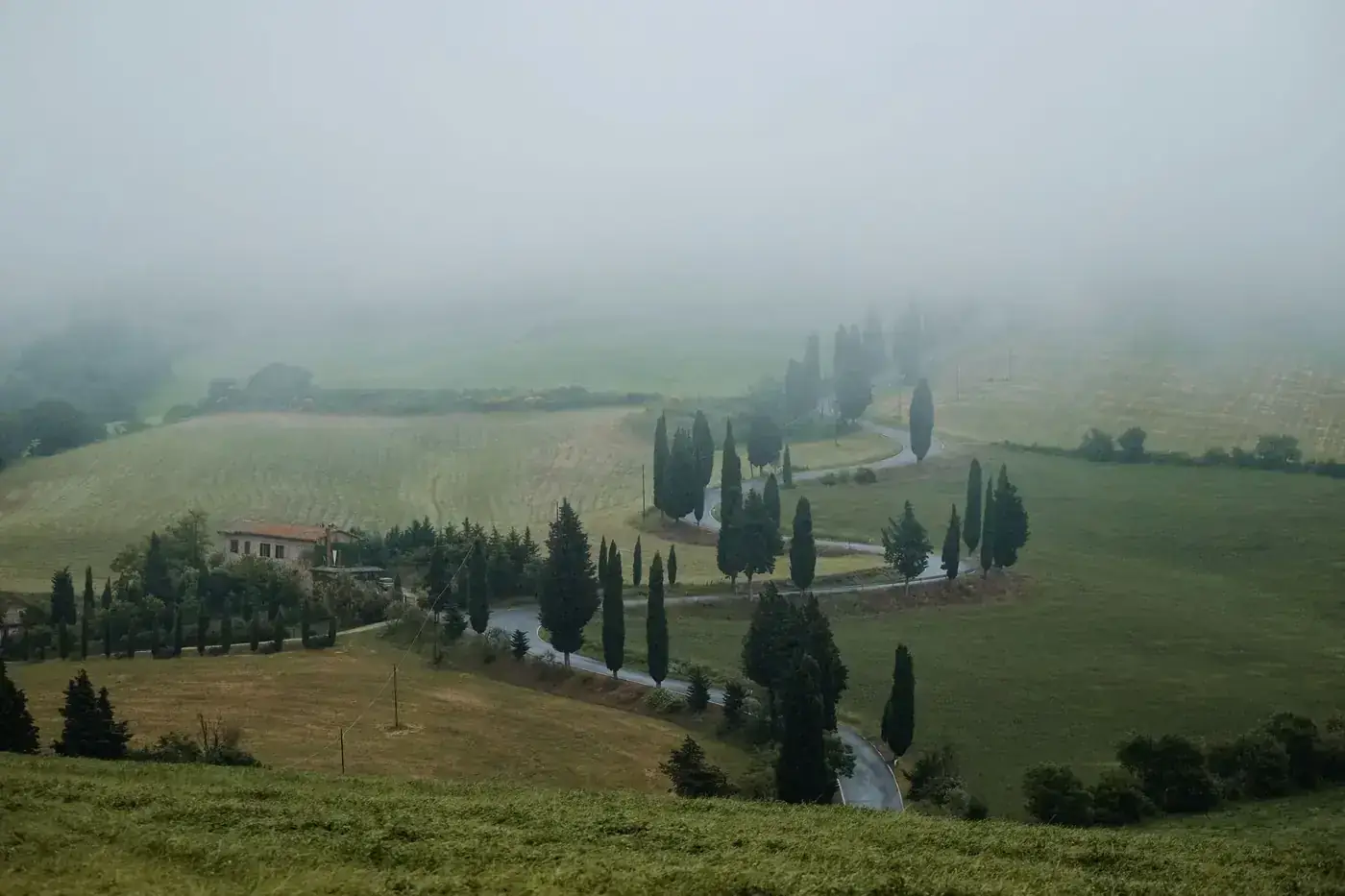 Beautiful view of a foggy Tuscan landscape with a winding road and cypress trees.