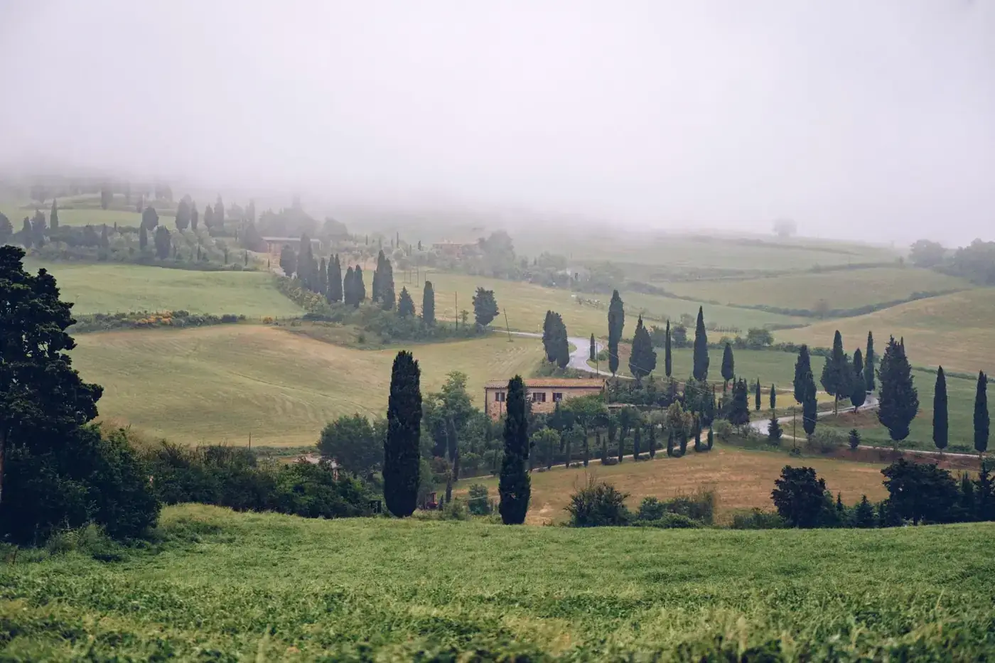Picturesque landscape of green valley covered with with lush trees in misty weather in daytime in nature in summer time