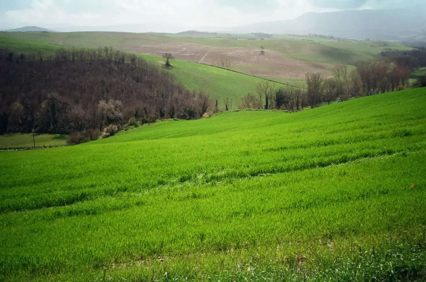 Expansive view of vibrant green fields and rolling hills under a cloudy sky.