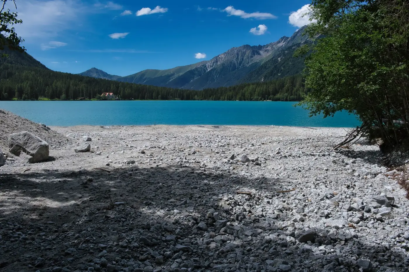 Serene summer landscape of Lake Anterselva surrounded by mountains and trees under a clear blue sky.