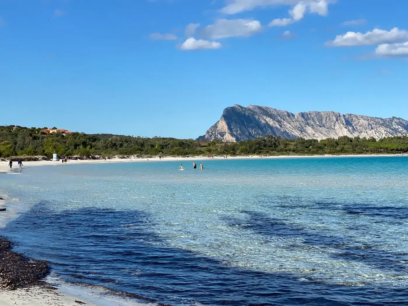 Stunning beach in Sardinia with clear waters and a majestic mountain backdrop.