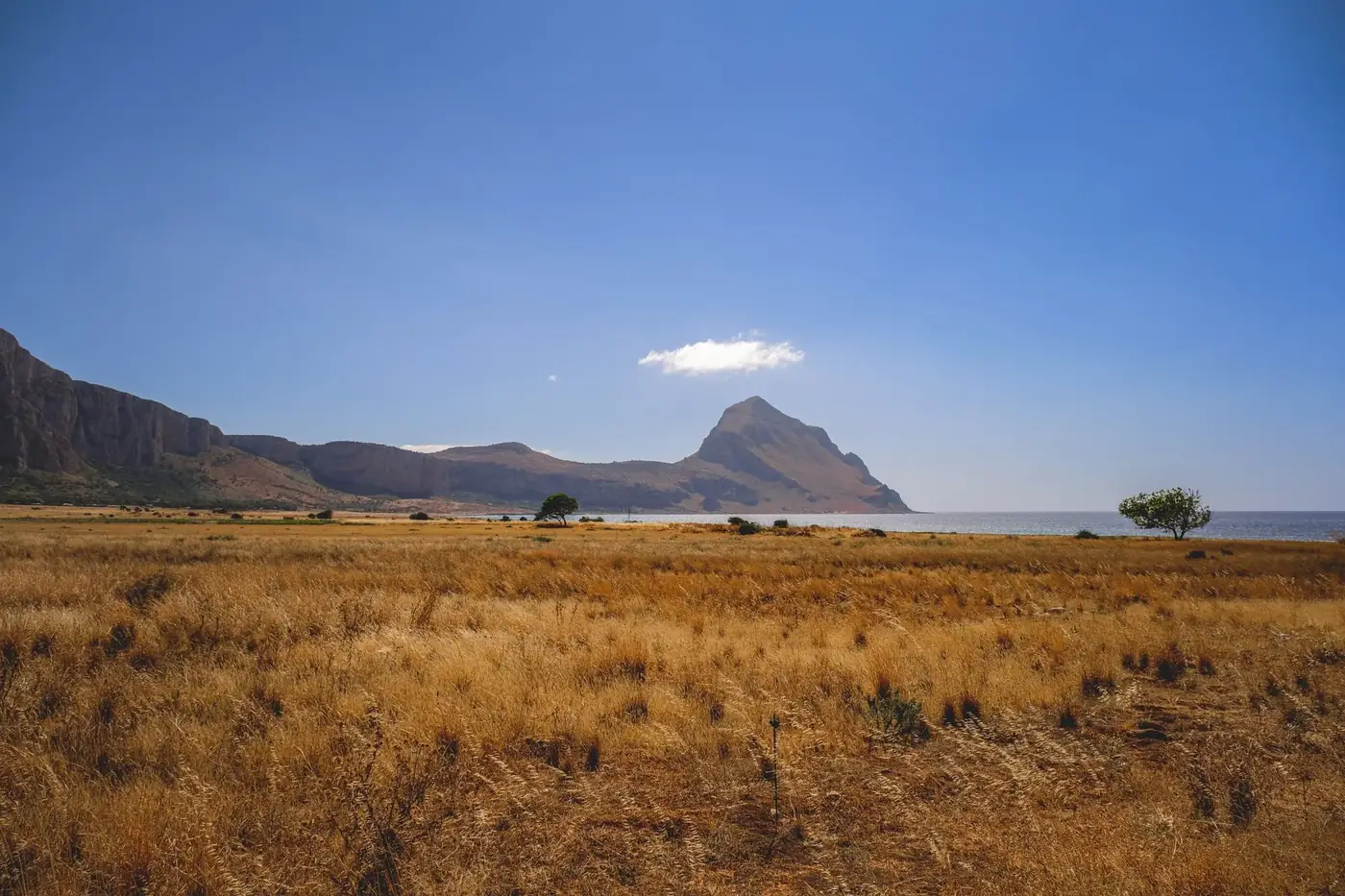 Breathtaking landscape featuring golden fields, mountain, and sea under a clear sky.
