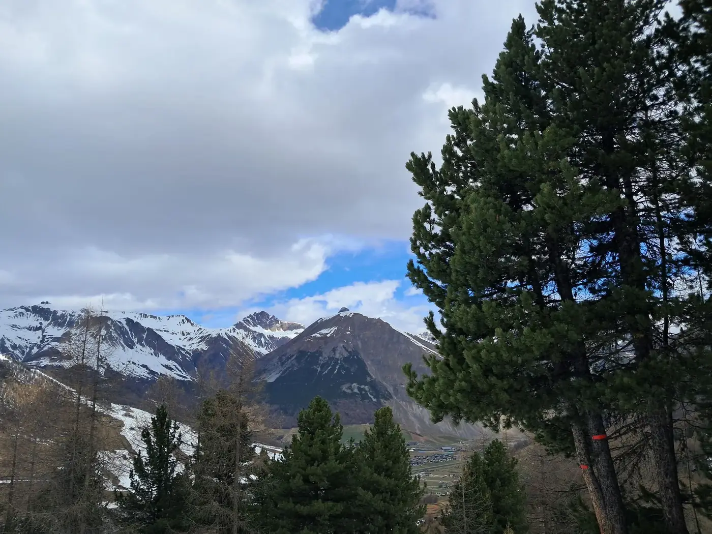 Breathtaking view of snow-capped mountains and pine trees under a cloudy sky.