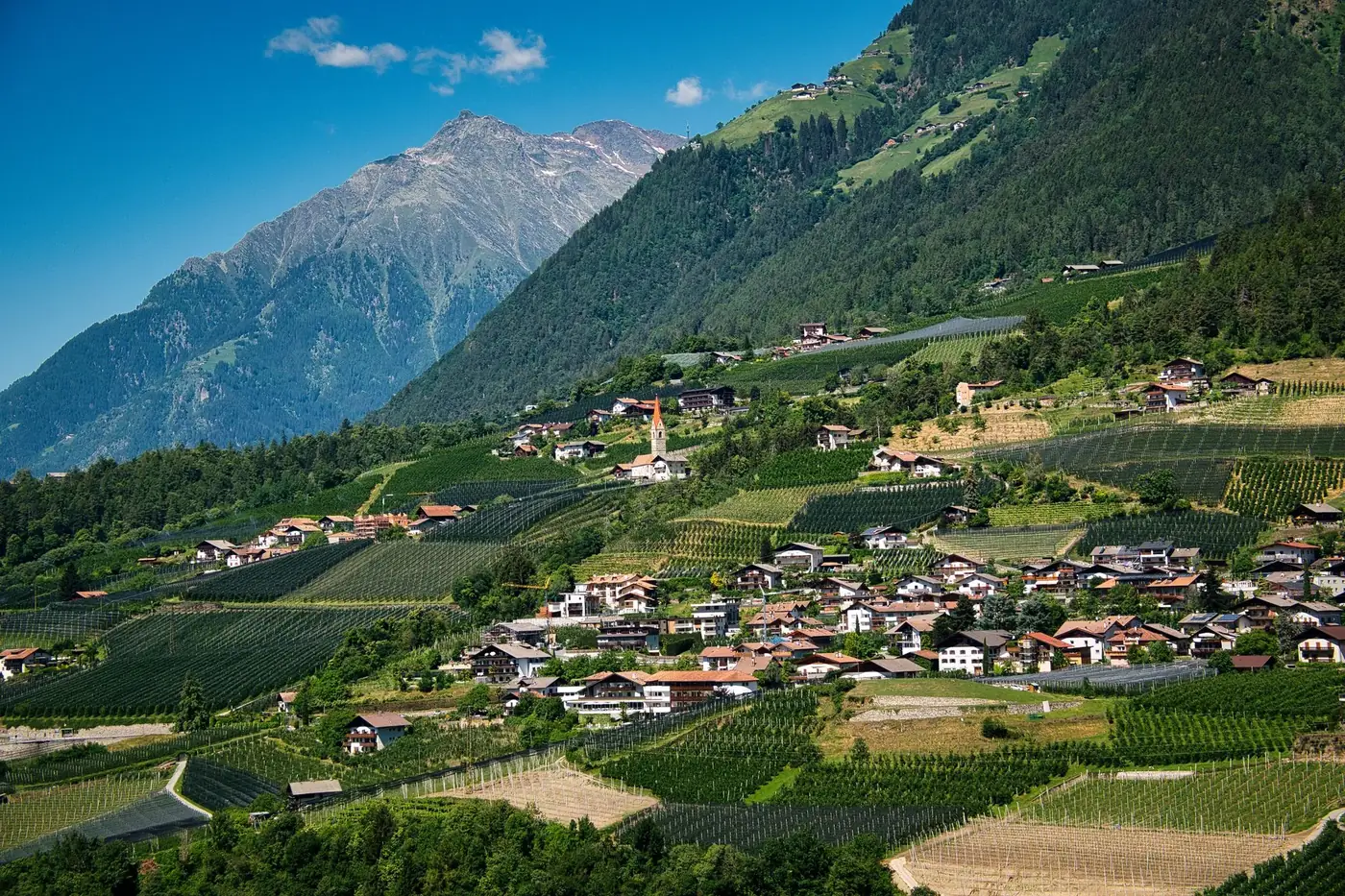 A stunning aerial view of Dorf Tirol village with vineyards and mountain backdrop in Italy.