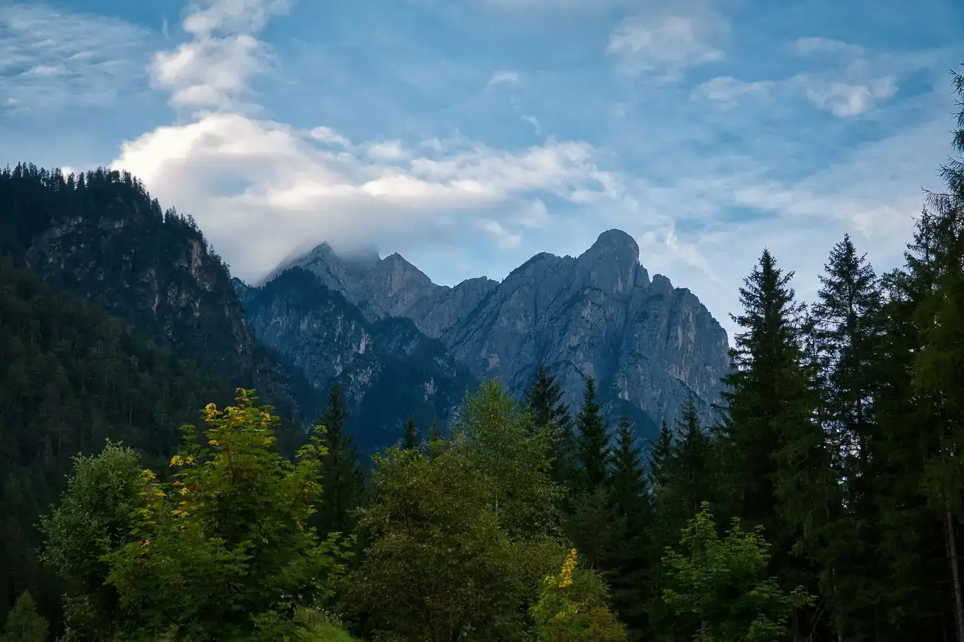 Breathtaking view of the Dolomites towering over lush forests in Sexten, Italy.