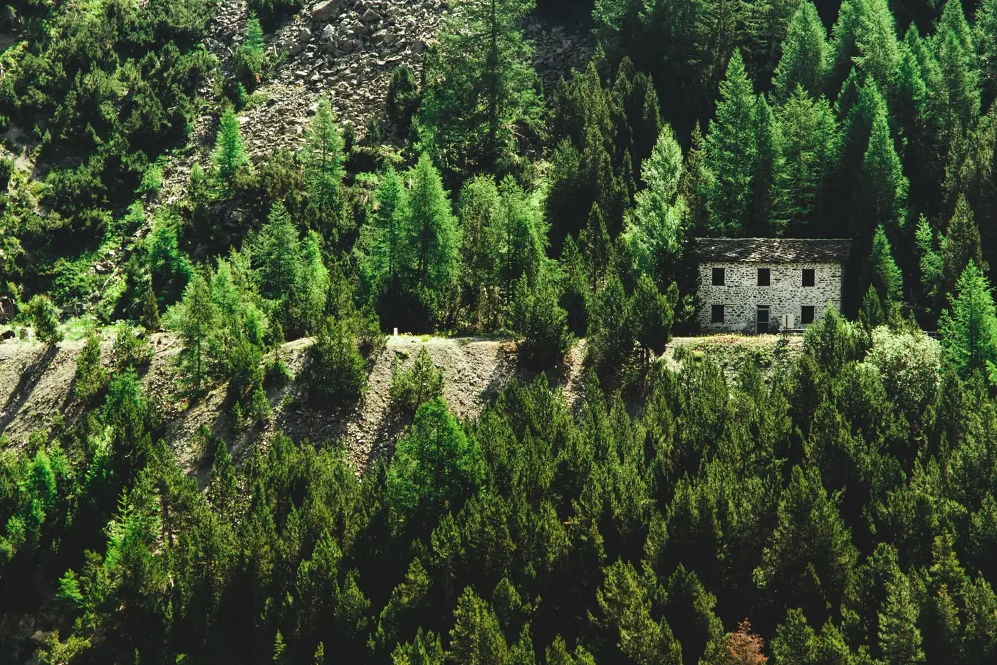 A secluded cabin surrounded by dense greenery in Valsavarenche, Aosta, Italy.